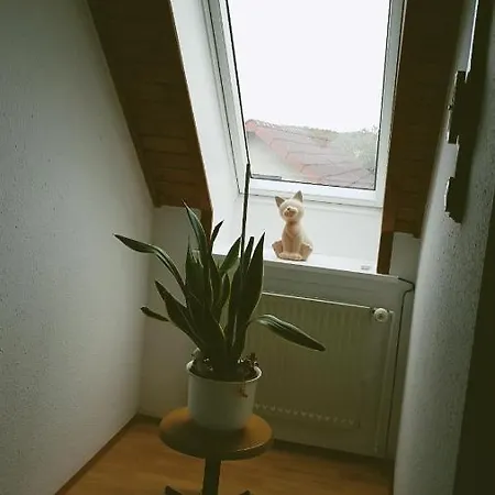Haus Wolke Apartment Warnkenhagen (Rostock)
